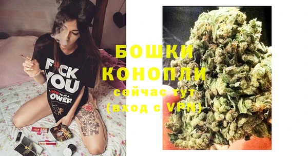 дмт Рославль