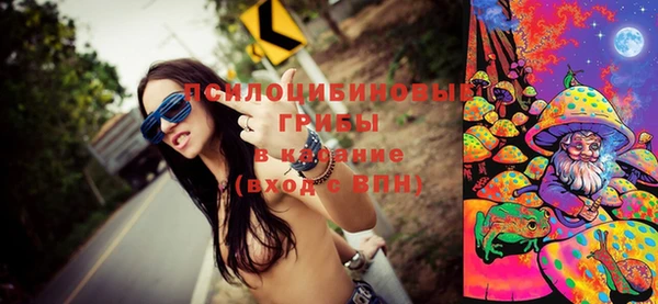 ГАЛЛЮЦИНОГЕННЫЕ ГРИБЫ Россошь