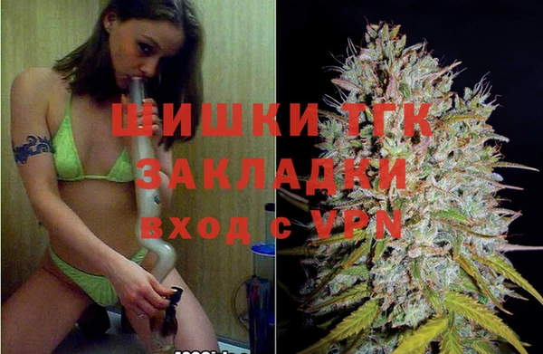 тгк Алзамай