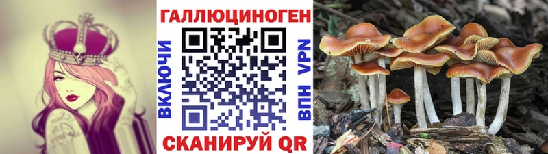 Псилоцибиновые грибы MAGIC MUSHROOMS  где можно купить   Западная Двина 